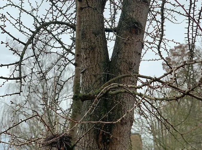 Geroweiher Doppelbettzimmer Moenchengladbach-stadtmitte Kapselhotel *